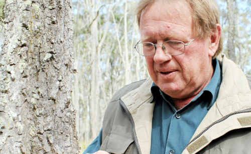 Third-generation Elbow Valley landholder Lindsay Madsen with the axe mark where poison has been allegedly injected and killed this ironbark tree. Third-generation Elbow Valley landholder Lindsay Madsen with the axe mark where poison has been allegedly injected and killed this ironbark tree.